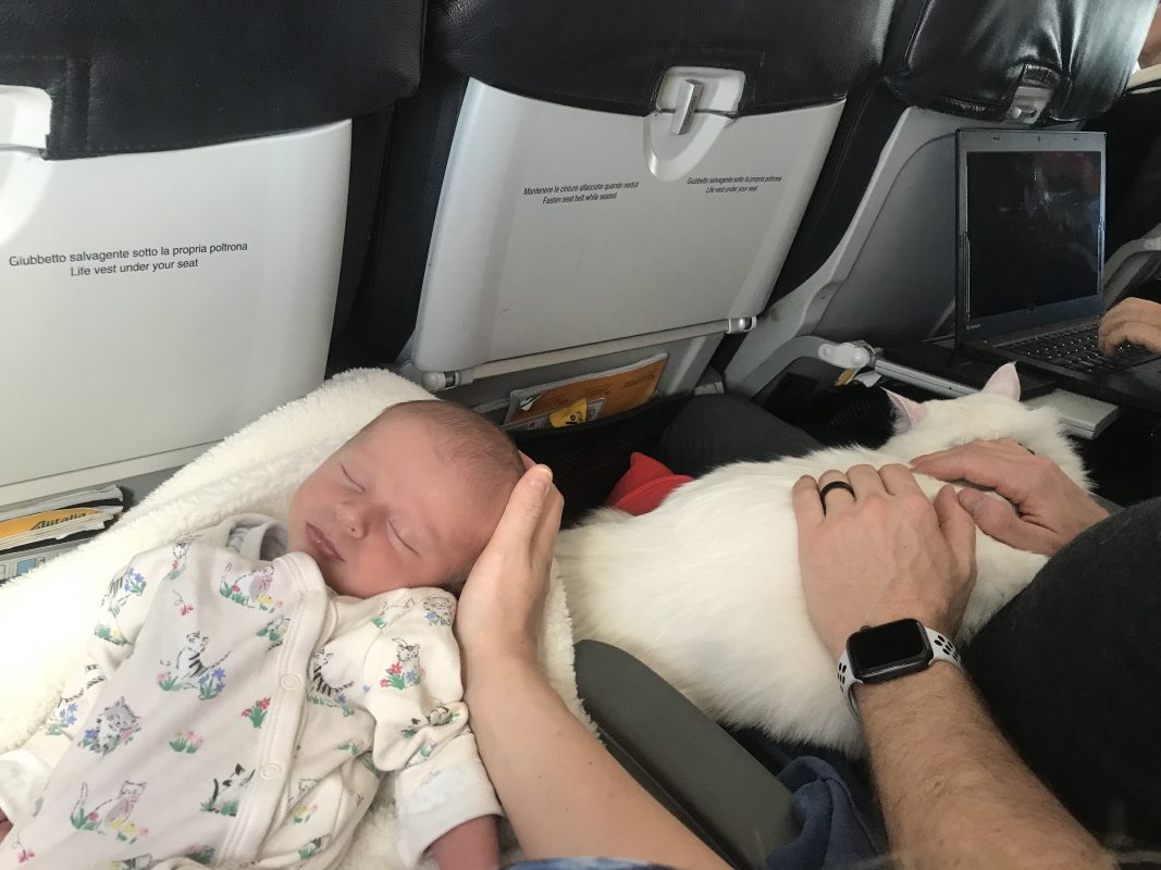 Flying with a 2 week old baby whos napping in a parent's lap on a flight, accompanied by a pet cat